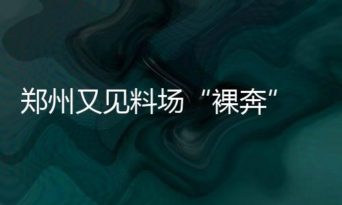 郑州棉纺路供热管网今起改造 已用23年严重老化 道路由于倾倒的被垃数量巨大