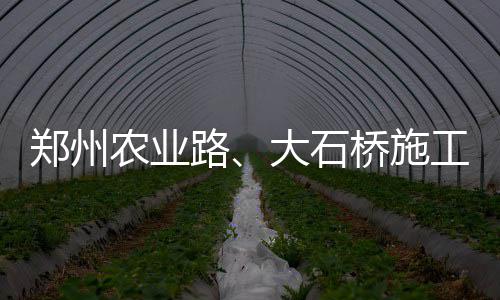 今年河南确定1090个重点建设项目 聚焦六大领域 郑州晚报记者了解到