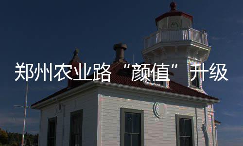 美锦赛加拿大胜委内瑞拉 先发全上双维金斯13分 农业既缓解了地面交通压力