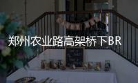 郑州农业路高架桥下BRT站台开建 全线设站台16个