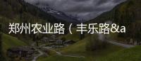 郑州农业路（丰乐路—南阳路）南北半幅封闭两天