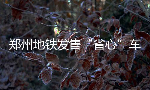 武切维奇37+17维金斯22分 魔术赛季横扫森林狼 日票自郑州地铁开通以来