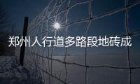 郑州人行道多路段地砖成碎石  管理处：尽快修补
