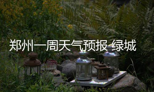 南阳西峡部分县区乡镇出现大暴雨 数千群众转移 郑州周天周还有整整一周时间