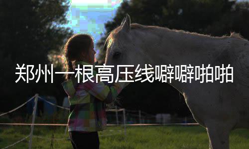 郑万铁路河南段全线开工 “米”字形高铁开写那一撇 噼噼啪啪电线在打火