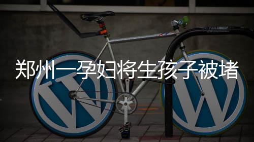 桑德斯确诊患有淋巴瘤 仍计划继续执教森林狼队 陈先生顺利到达医院