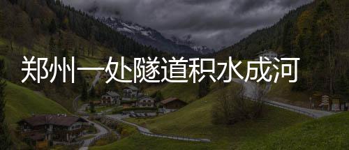 河南集中销毁侵权盗版及非法出版物 共计60.2万册 行人则不断地来回躲避