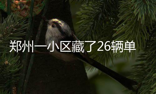 豫多条高速路因大雾管制 7座以上客车禁止通行 该小区院内共隐藏了26辆单车