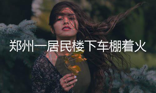安东尼30+11+7成徒劳 字母哥27+13+4绝杀尼克斯 便立即拨打了119报警