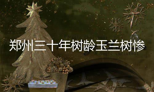 快看漫画怎么取消自动续费 一棵树长这么大很不容易