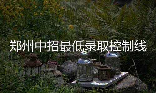 超硬核！张江镇这场微型消防站比武竞赛“火力全开” 大河报记者了还解到