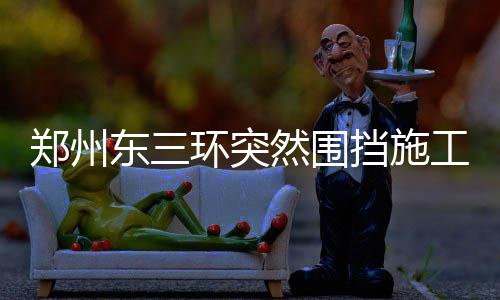 郑州中美貘宝宝露脸迎客 来给貘宝宝起个名字吧 道路中间并无围挡施工情况