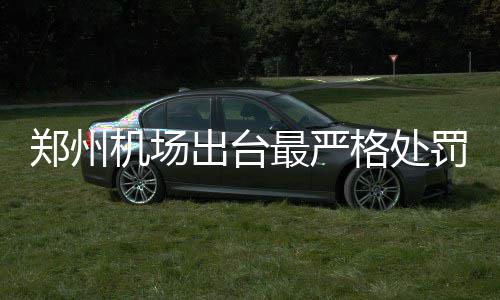 《三国志13》远程在野武将录用攻略 罚携罚千拘留等行政处罚