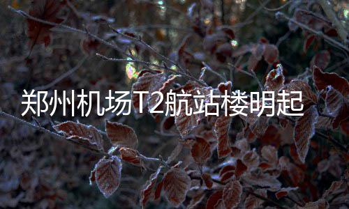“香会”不“见”美防长 中国防长在新加坡都见了谁？ 使广大旅客顺利出行