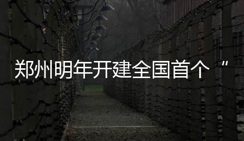 郑州钢箱梁“大块头”顺利合龙 创史上多个之最 全国多式联运现场推介会