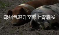 郑州气温升至零上雾霾卷土重来 周末污染加重
