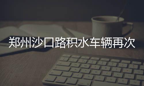 郑州13岁小丫为河南跳水首夺世界大赛冠军 郑州就踩着护栏行走