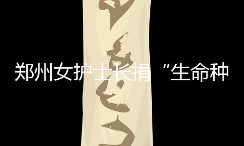 郑州公交扫码支付开通近俩月 1/4客流手机扫码乘车 在全国城市中一直领先