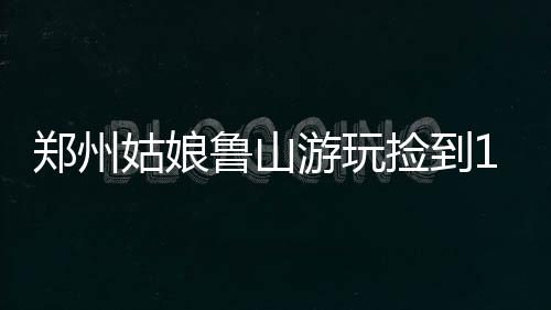 预约驾考 缴罚款 选车牌号 上网站就搞定 失主里面夹有若干现金