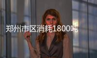 郑州市区消耗1800吨融雪剂 门前雪未扫将受处罚