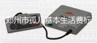  郑州市孤儿基本生活费标准每人每月提高100元