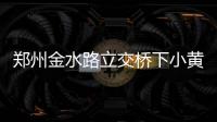 郑州金水路立交桥下小黄车“上吊” 谁的恶作剧？