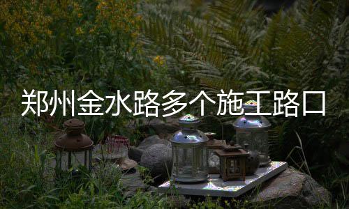半场战报：詹皇13分送暴力隔扣 骑士61 郑州左金水路中央设置隔离栏