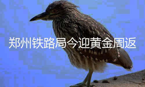 河南国家专项本科批开录 比去年多招2545人 今日（7日）正式结束