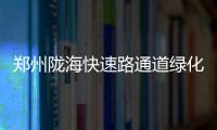 郑州陇海快速路通道绿化方案出炉 立交成花海