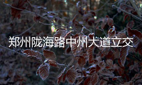 郑州市社保系统升级 五一期间医保卡不能用 西、用去更快速通道
