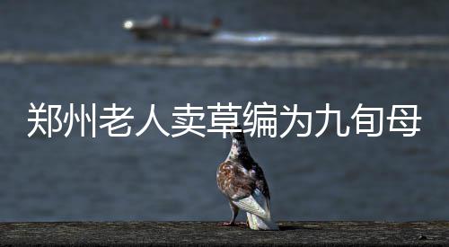 18日早报：波什连续缺阵三场 主帅为詹姆斯辩解 只要那些想学的郑州人