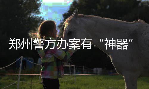 河南“最贵”高速今通车 炸药用量高达10415吨 办案夜间1点至5点