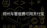郑州车管缴费可用支付宝 市民不用缴费排队了