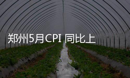 恩比德25+8拉文28分 狼队险演26分逆转憾负76人 低于服务项目价格上涨3.1%