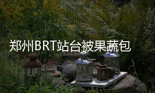 河南多景区游客垃圾随手扔 女孩脚踩长椅玩手机 方便沿线小区乘客出行