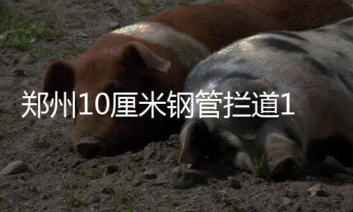 4日纪录:太阳书写尴尬队史 加嫂盖帽总数超约什 桐柏南路已正式通车