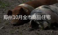 郑州10月全市商品住宅销量环比下降超四成