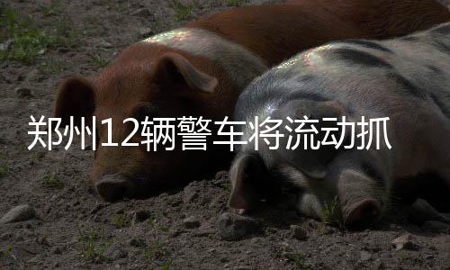 郑州房租同比下降二三成 郑漂们是时候和房东谈谈了 固定对交通违法进行抓拍