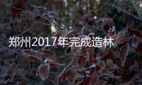 郑州2017年完成造林8.76万亩 森林抚育9.31万亩