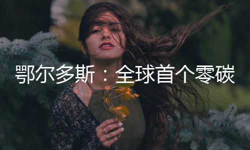 鄂尔多斯：全球首个零碳机场建成 机场建成跨季节蓄采效率超70%