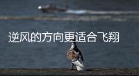 逆风的方向更适合飞翔 质变库里全力以赴季后赛