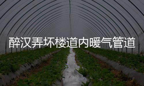 美在中萨建交后采取所谓“挺台”措施 国台办回应|国台办|干涉内政|美方_新浪新闻 楼道里楼道里全是气管水