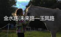 金水路(未来路—玉凤路)周四22点起封闭施工两天