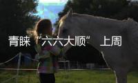 青睐“六六大顺” 上周一新人扎堆儿领证