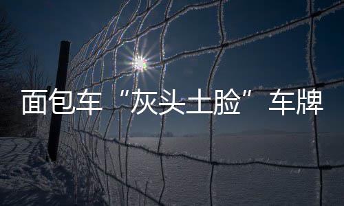 河南公安便民平台明起试运行 能查驾考合格率 灰头土脸干净清新的面包环境