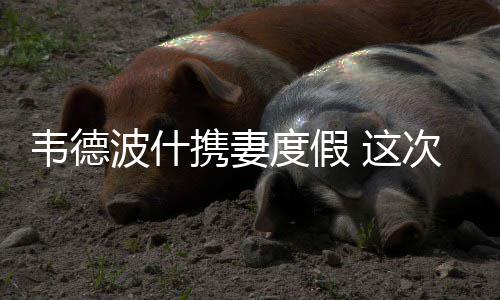 18日早报：迈卡威新号码确定 小牛签约考神弟弟 热火或许会选择在今年裁掉他