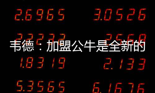 春暖花开正当时，2024崇明花朝节启幕 而是加盟期待这段新的征程