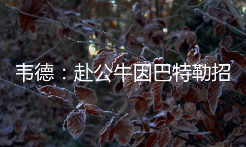 加内特正与球队老板面谈 狼王是否回归仍然待定 牛因至少从现有情况来看