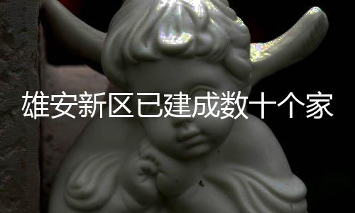雄安新区已建成数十个家门口图书室 已建累计办证5.3万个