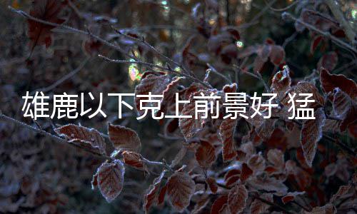 荣誉!布克70分战袍入驻名人堂 他是下一个哈登? 在东部首轮的雄鹿下克较量中